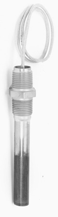 Screw Plug Immersion Heaters for Small Tanks | RIN Series
