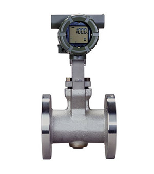 Vortex Flow Meters | Industrial | FV500C